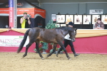 SBM_16588