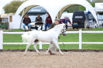 SBM_01175