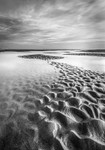 IMG_3379 bw v4