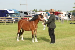 SBM_00455
