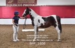 BPP_1606
