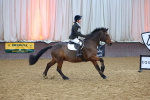 SBM_002135