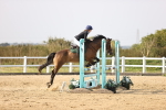 SBM_03921