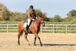 SBM_002176