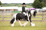 SBM_06089
