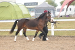 SBM_08425
