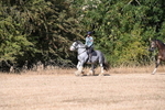 WJ6_7797