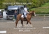BPP_5553