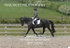 BPP_6642