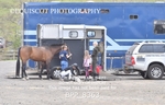 BPP_8363