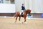 SBM_000429