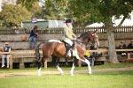 SBM_50171