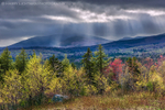 Paugus Spring Showers