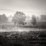 Steam Rising (square format)