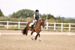 SBM_008656
