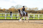 SBM_001151