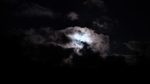 Dragon Moon F3674