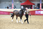 SBM_17493