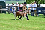 SBM_03546