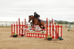 SBM_016019