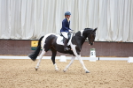 SBM_011235