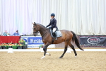 SBM_002586