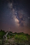 Milky Way and Meteor