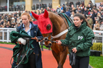 151125-Race 4-Vincenzo-3203