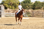 SBM_001335