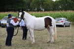 WJ6_5553