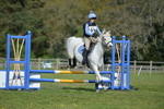 NGP_7139