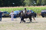 WJ6_7974