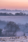 ab313 Looking towards bembridge - Winter
