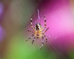 20110819-IMG_6276