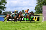 Race 2 14.15pm Hartshead Dos Champions Restricted Maiden Stakes (Div II) portfolio