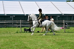 SBM_07784