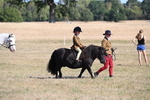 WJ6_7392