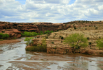 Canyon-3