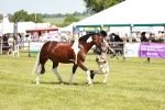 SBM_15495