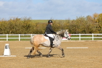 SBM_001028