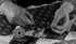 YOUNG QUILTERS HANDS