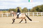 SBM_009905