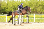 SBM_004981