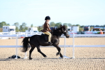 SBM_07804
