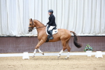 SBM_001019