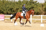 SBM_018591