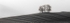 Gallows Hill 02