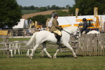 SBM_09532