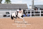 BPP_3035