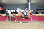 SBM_06379